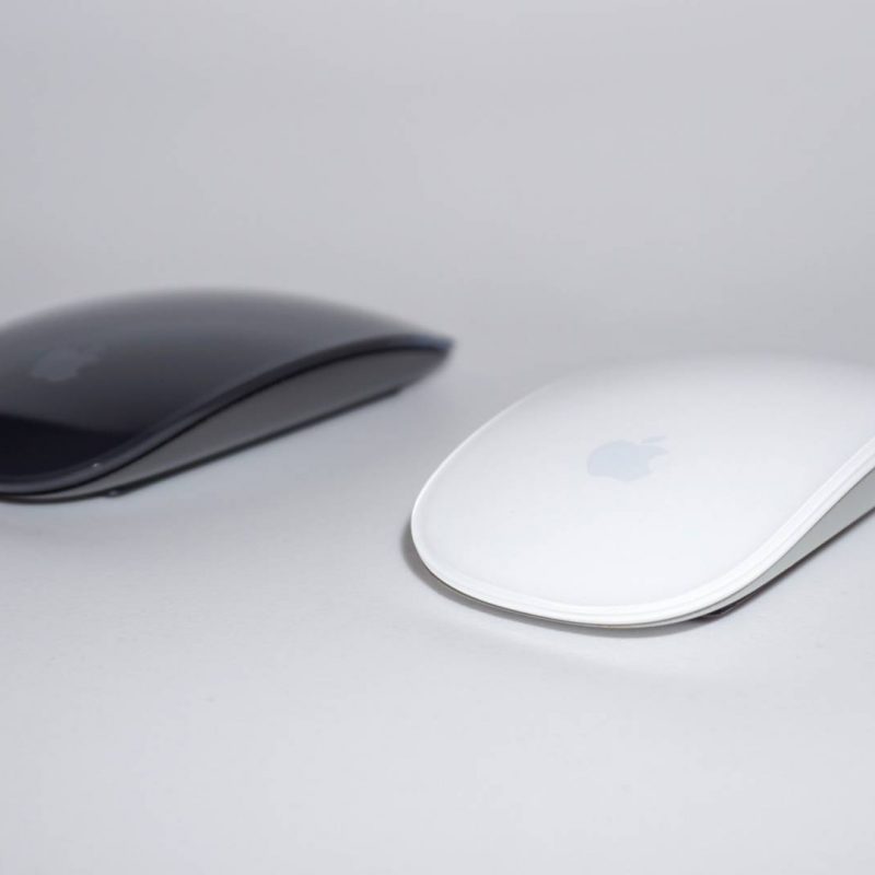 Fusce porttitor ante felis sed quam